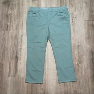 Denim&Co Green 1X Petit Duo Stretch Straight Leg Pants Active Comfort Plus Size